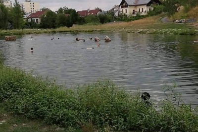 Rybník Terezka