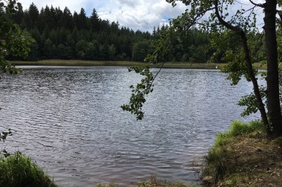 Rašelinový rybník