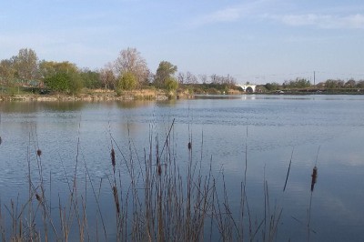 rybník Šejba