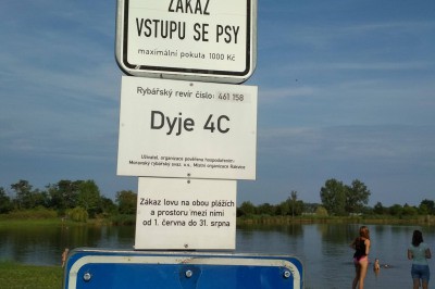 Šutrák Rakvice