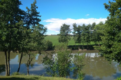 Rybník (Moravské Knínice)