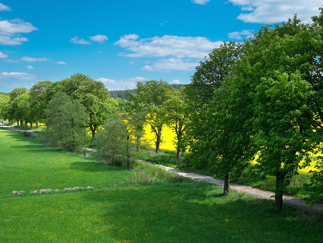 Jedovnice - rybník Olšovec