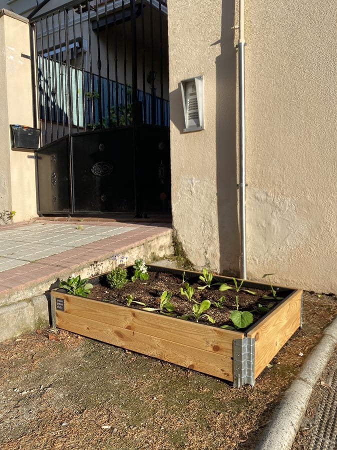 Bancal de Cultivo público