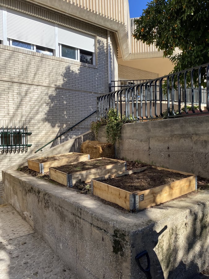 Huerto urbano del CEIP Luis Rosales