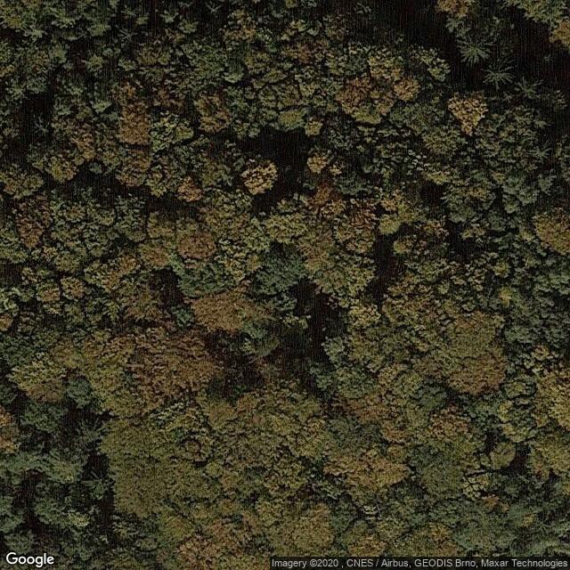 Starý Světlov - zřícenina