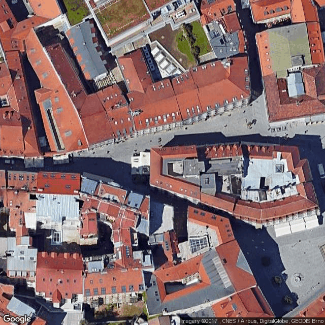 Potrefená husa Zelný trh