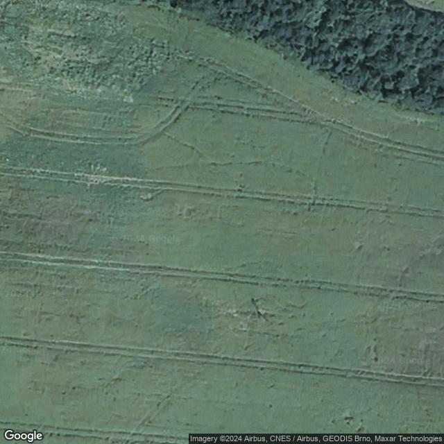 Záchranný transfer obojživelníků Blansko - Češkovice