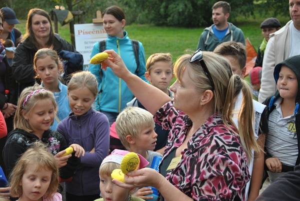 Písečník 94: obnova zahrady a pískové stěny EkoCentra v Brně