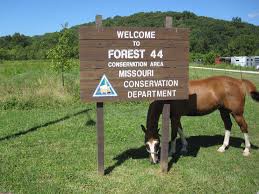 Forest 44 Conservation Area