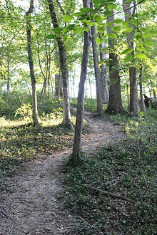 Phantom Forest Conservation Area