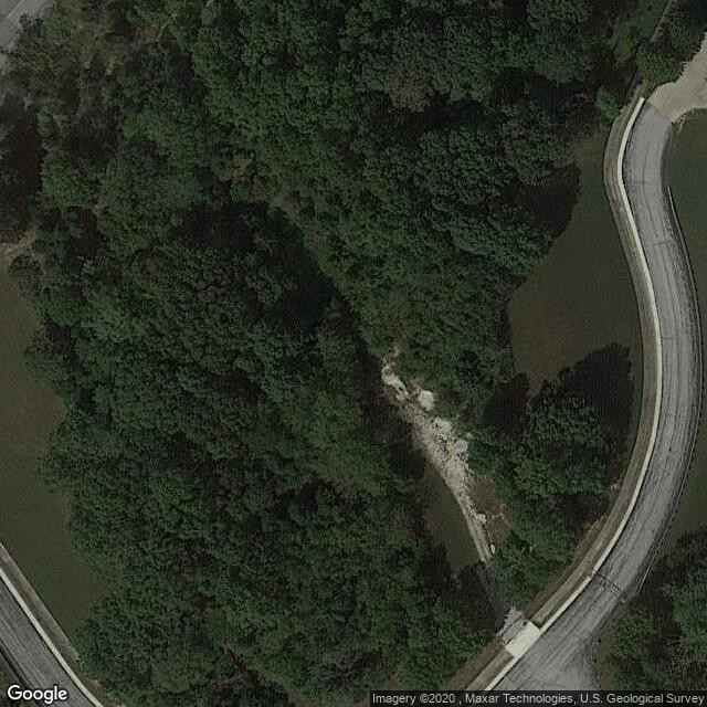 forest 44 conservation restoration area