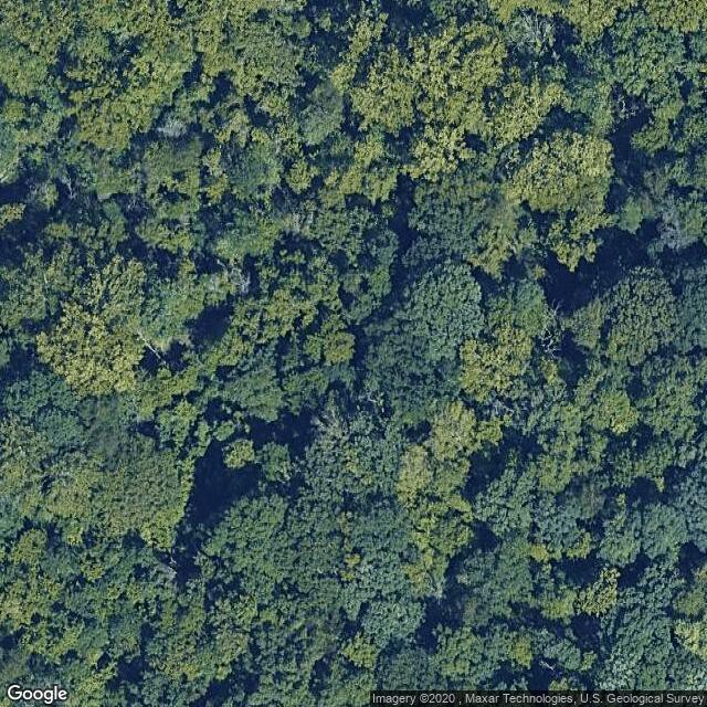 Phantom Forest Conservation Area