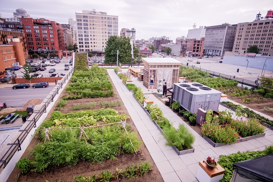 Urban Harvest Saint Louis