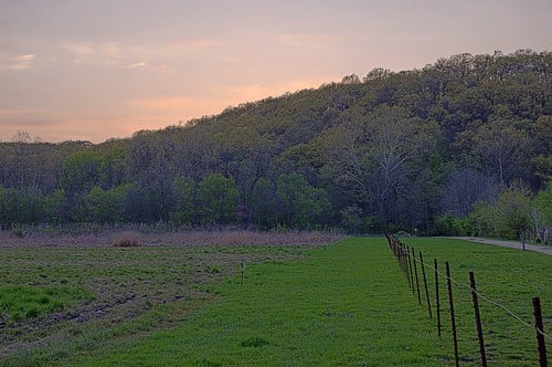 Forest 44 Conservation Area