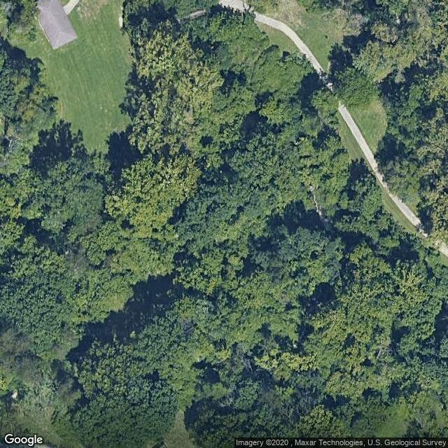 Wild Cherry Ridge Conservation Area