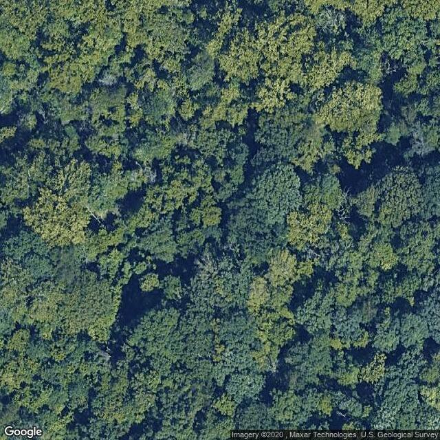 Beckemeier Conservation Area