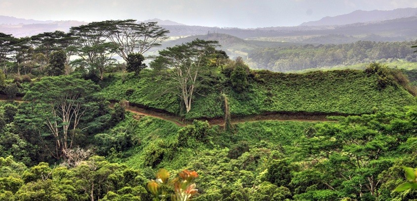 Moalepe Trail