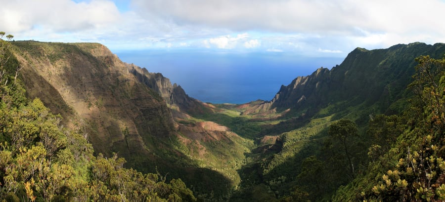 Pihea Trail