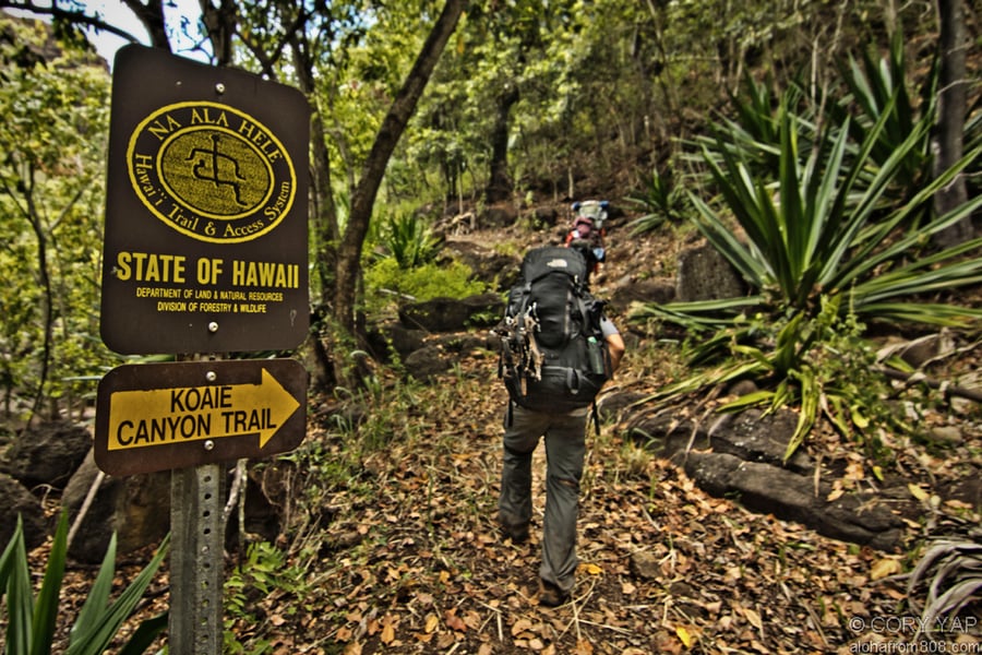 Koaie Trail