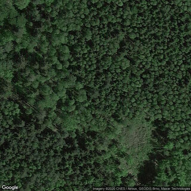 Třeboňská pánev, Baba (583)