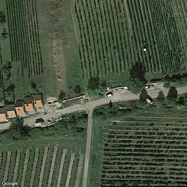 Rodinné Vinařství Srholec