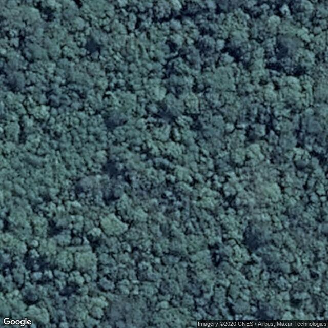 Niue