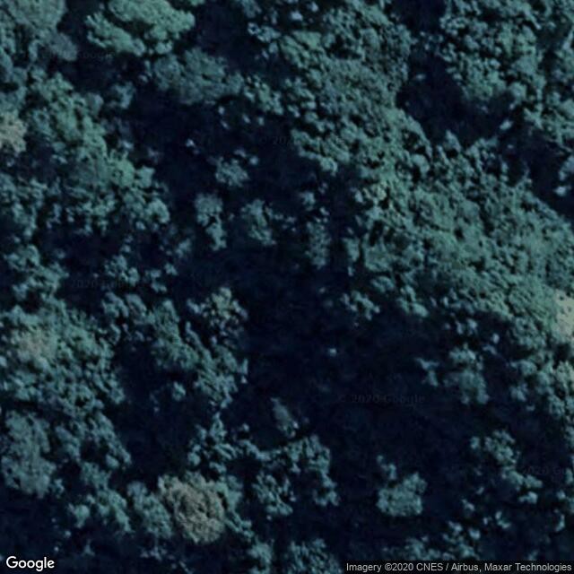 Solomon Islands
