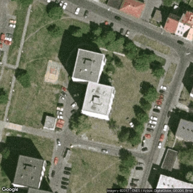 žížaly