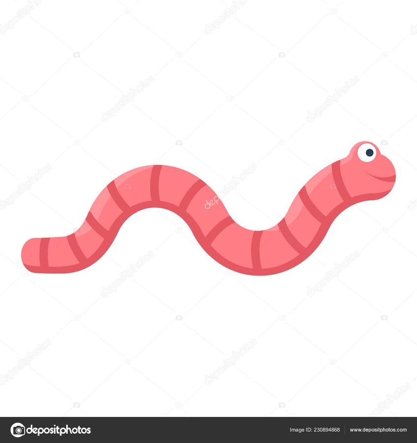 Vermikompostování v bytě