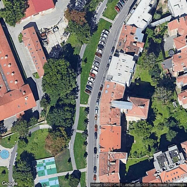 Žížaly na Kartouzské