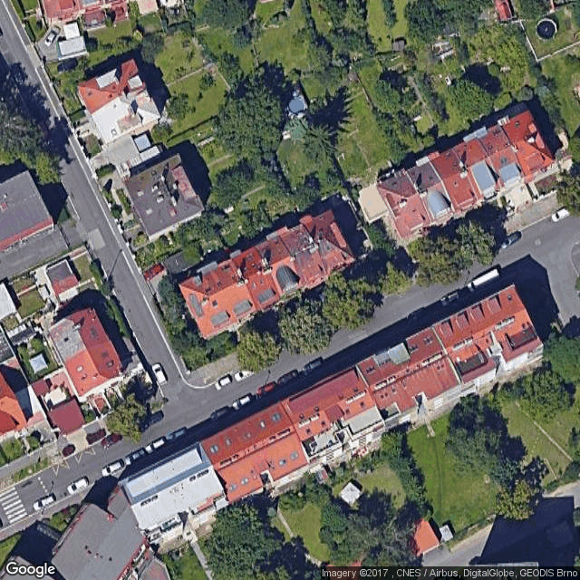 Kočka v tašce