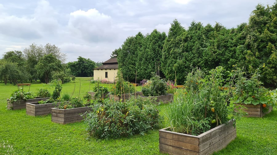 Komunitní zahrada kapucínského kláštera v Opočně