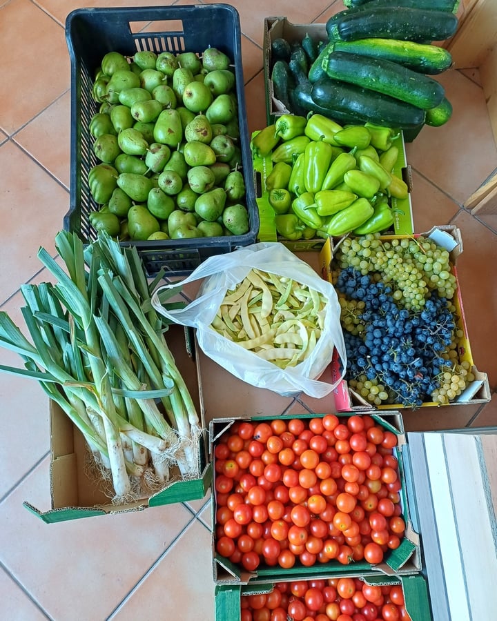 Modrásek KPZ, bezobal