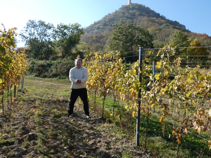 Šardice 716