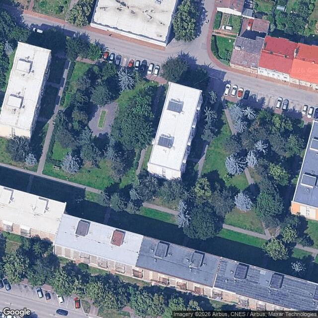 Žížaly jako domácí mazlíček