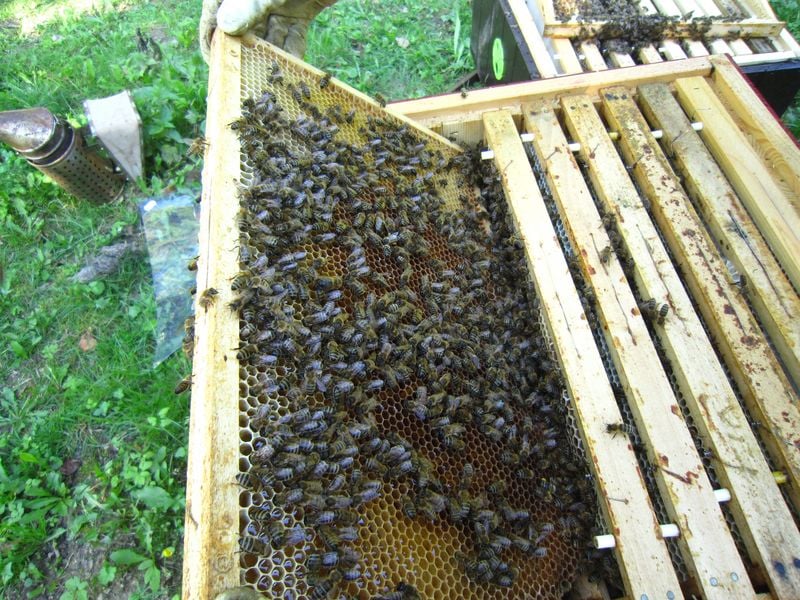 Experimentální zahrada pod Blaníkem