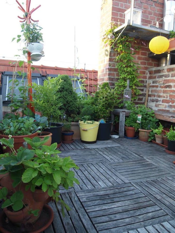 Balkon nejen k nakousnutí