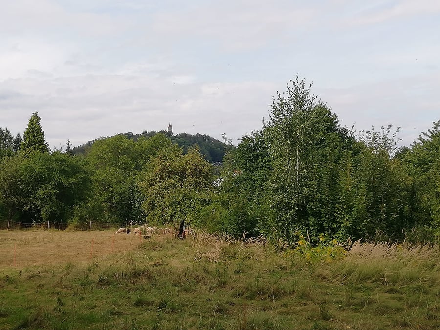 Komunitní Zahrada Varnsdorf