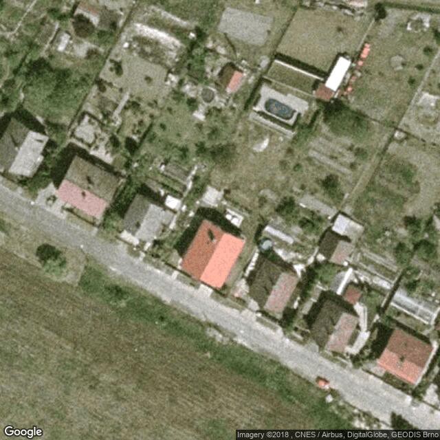Žížalky