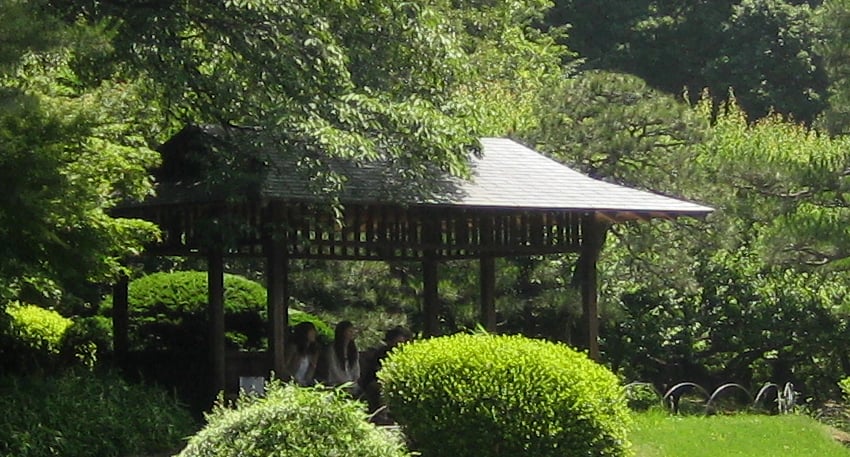 Shinjuku Gyoen National Garden