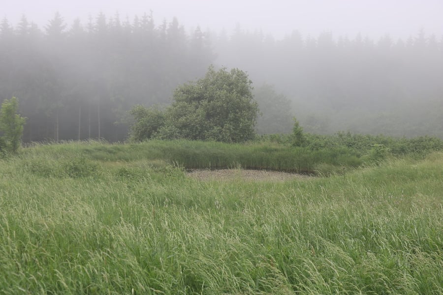 Krušnohorské oko
