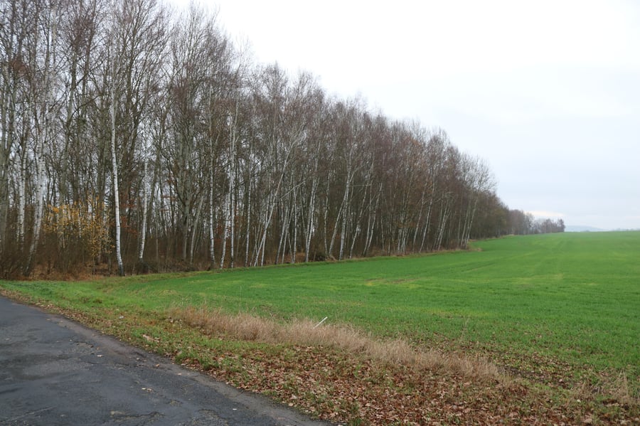 Sudetská dálnice A69