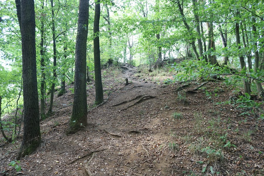 hrad Karlík
