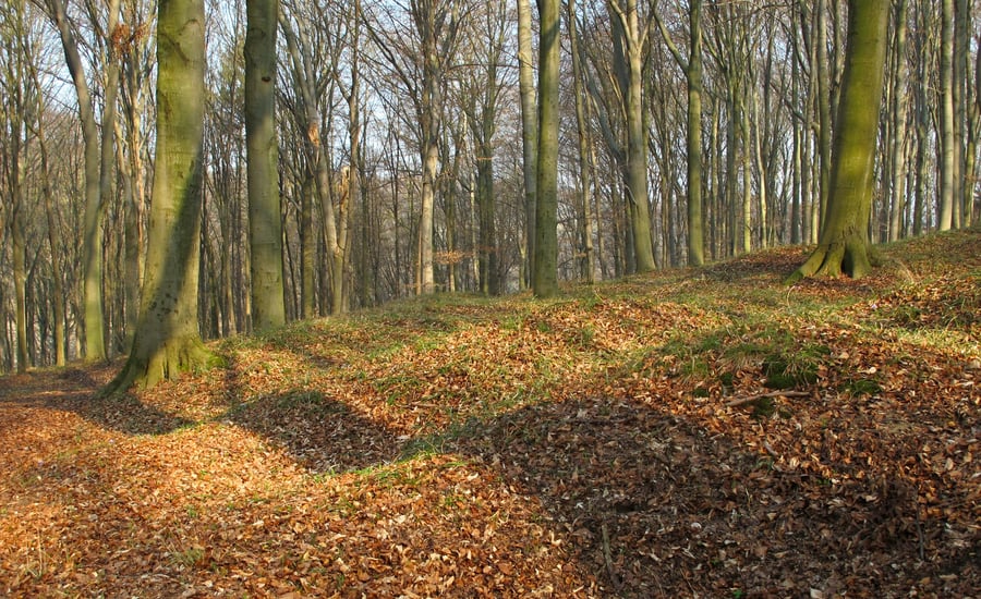 NPP Medník
