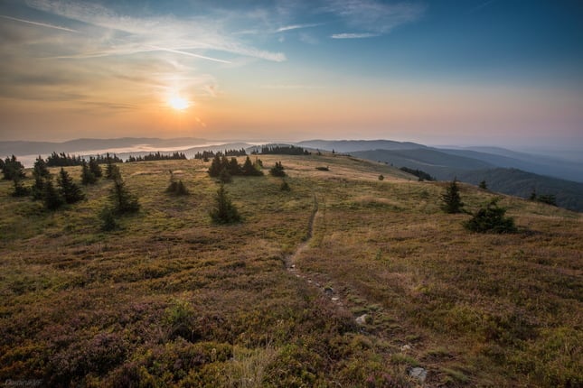 Kojšovská hoľa