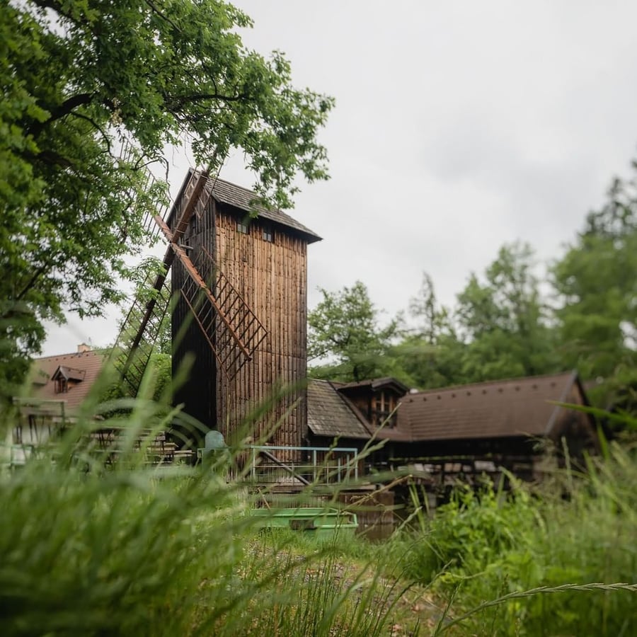 Bučický rybník, Rožďalovice