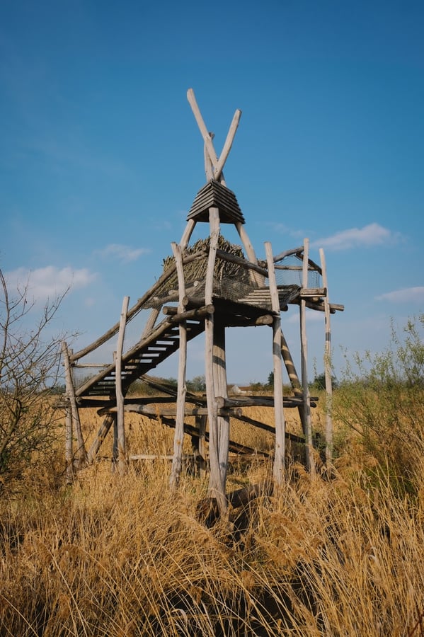 Pozorovatelna Vrbenské rybníky