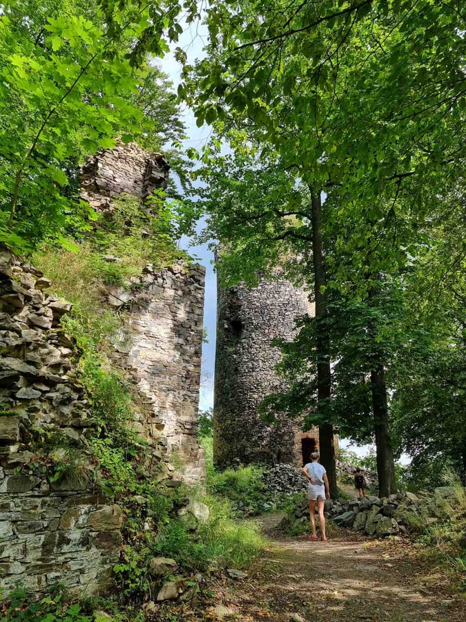 Rýzmburk