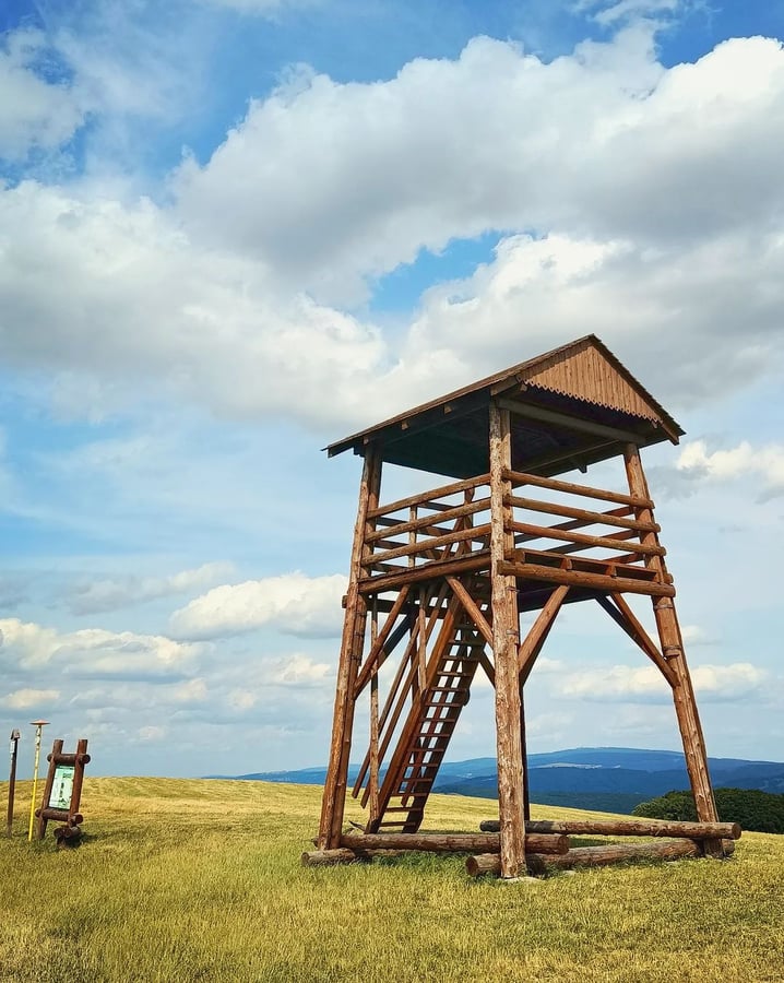 Žalostiná