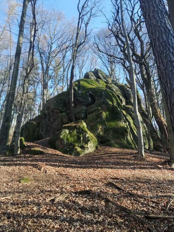 Kudlovická dolina